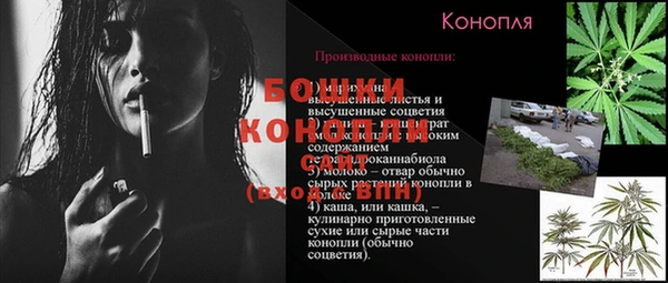 mdpv Белокуриха